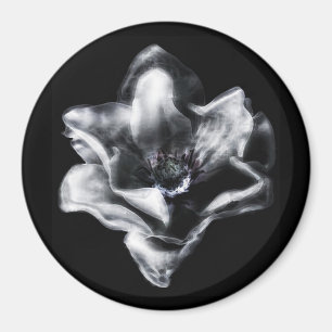 Vinny Magnet