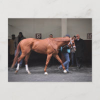Vino Rosso - Todd Pletcher