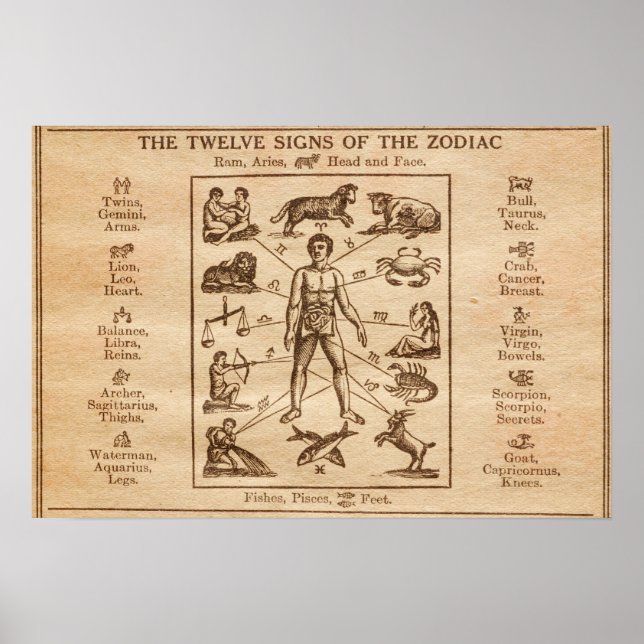 Vintage 12 Signs of the Zodiac (Front)