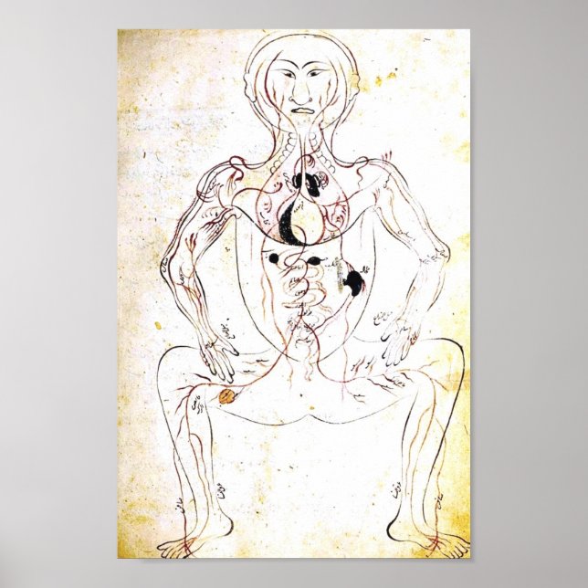 Vintage 13th Century Persian Anatomy Poster (Front)