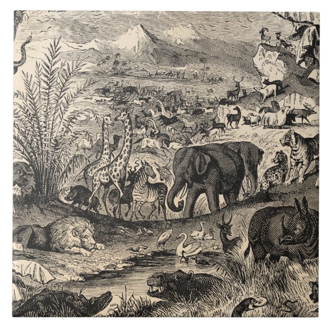 Vintage 1800s African Animal Illustration Animals Tile (Front)