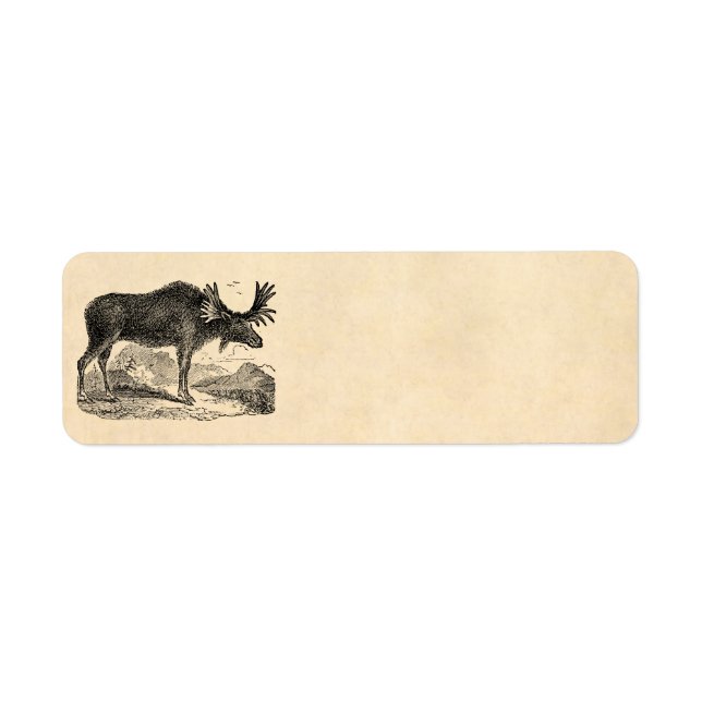 Vintage 1800s American Moose Illustration Template (Front)