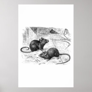 Vintage 1800s Barn Mouse Retro Mice Illustration Poster