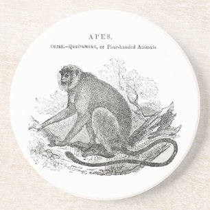Vintage 1800s black and white monkey print coaster