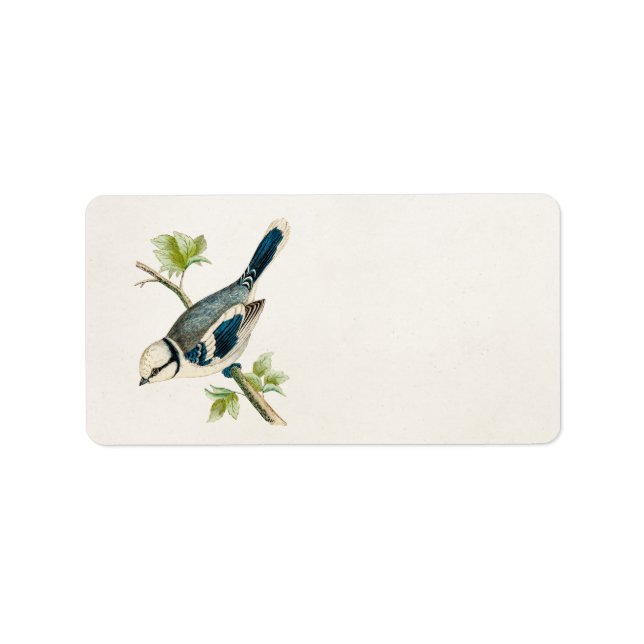 Vintage 1800s Blue Bird Songbird Birds Drawing Label (Front)