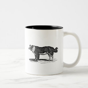 Vintage 1800s Border Collie Dog Illustration Two-Tone Coffee Mug