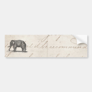 Vintage 1800s Elephant Illustration - Elephants Bumper Sticker