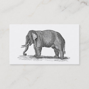Vintage 1800s Elephant Illustration - Elephants Business Card