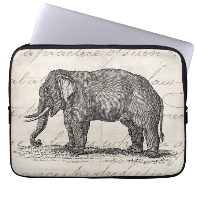 Vintage 1800s Elephant Illustration - Elephants Laptop Sleeve (Front)