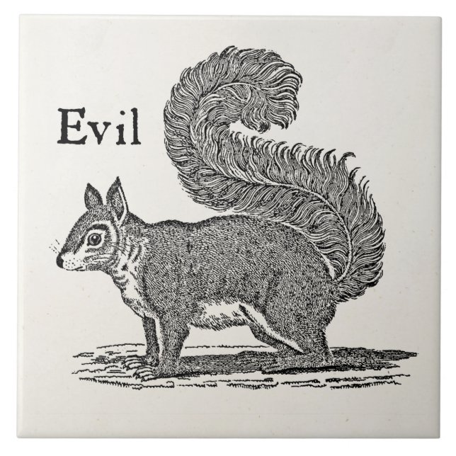 Vintage 1800s Evil Squirrel Illustration Tile (Front)