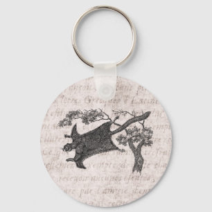 Vintage 1800s Flying Squirrel - Sugar Glider Key Ring