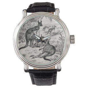 Vintage 1800s Giant Kangaroos Australian Kangaroo Watch