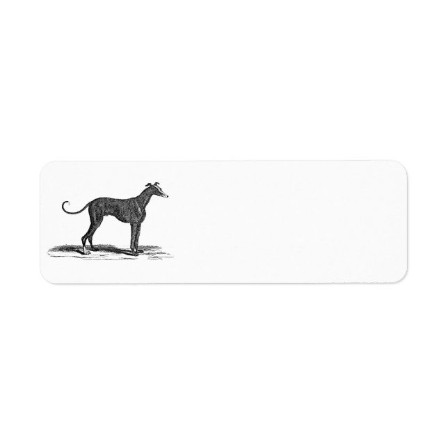 Vintage 1800s Greyhound Dog Illustration - Dogs (Front)