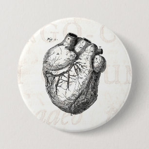 Vintage 1800s Heart Retro Cardiac Anatomy Hearts 7.5 Cm Round Badge