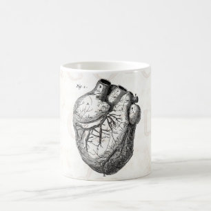 Vintage 1800s Heart Retro Cardiac Anatomy Hearts Coffee Mug