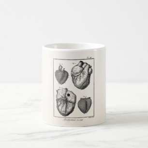 Vintage 1800s Heart Retro Cardiac Anatomy Hearts Coffee Mug