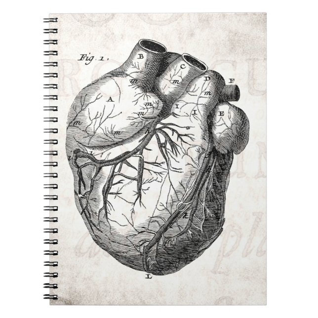 Vintage 1800s Heart Retro Cardiac Anatomy Hearts Notebook (Front)