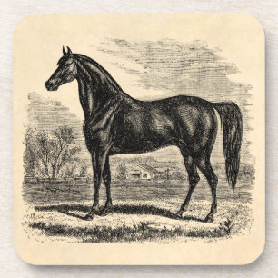 Vintage 1800s Horse - Morgan Equestrian Template Coaster