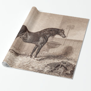 Vintage 1800s Horse Norfolk Cob Hackney Retro Wrapping Paper