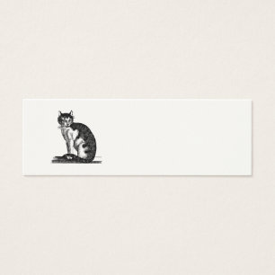 Vintage 1800s House Cat Illustration - Cats