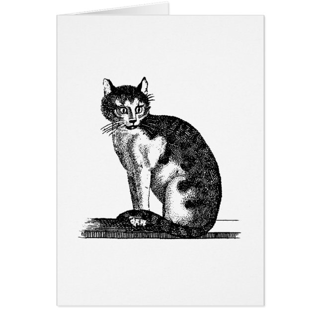 Vintage 1800s House Cat Illustration - Cats (Front)