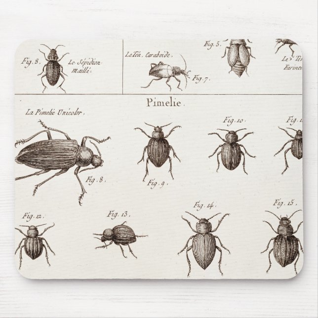 Vintage 1800s Insects Bugs Beetles Illustration Mouse Pad (Front)