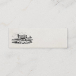 Vintage 1800s Merino Sheep Ewe Lamb Template Mini Business Card