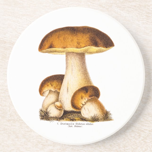 Vintage 1800s Mushroom Edible Mushrooms Template Coaster (Front)