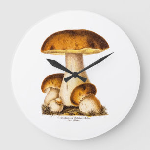 Vintage 1800s Mushroom Edible Mushrooms Template Large Clock