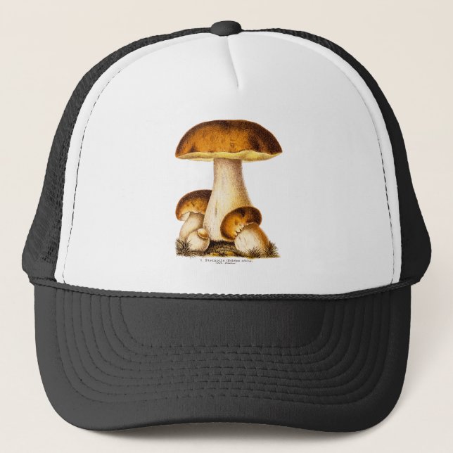 Vintage 1800s Mushroom Edible Mushrooms Template Trucker Hat (Front)