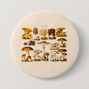 Vintage 1800s Mushroom Variety  Mushrooms Template 7.5 Cm Round Badge