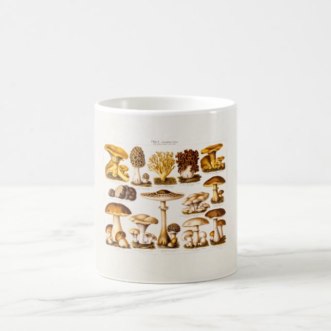 Vintage 1800s Mushroom Variety  Mushrooms Template Coffee Mug (Center)