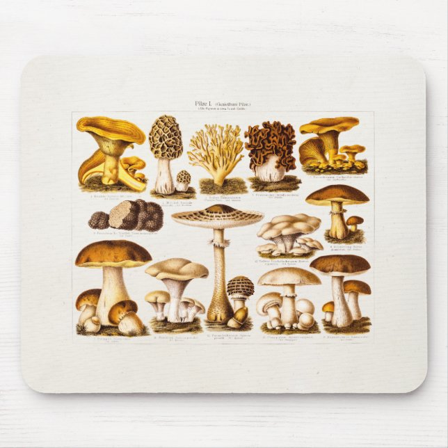 Vintage 1800s Mushroom Variety  Mushrooms Template Mouse Pad (Front)