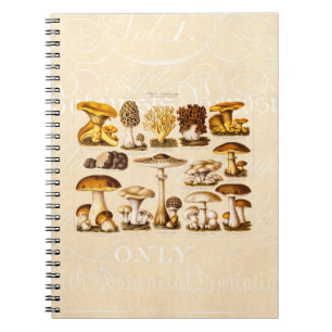 Vintage 1800s Mushroom Variety  Mushrooms Template Spiral Notebook