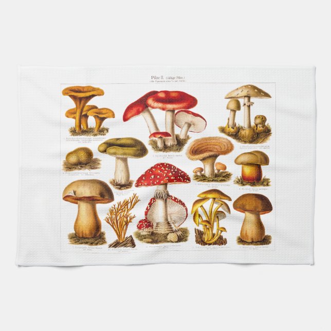 Vintage 1800s Mushroom Variety Red Mushrooms Tea Towel (Horizontal)