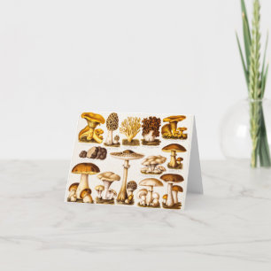 Vintage 1800s Mushroom Variety Template