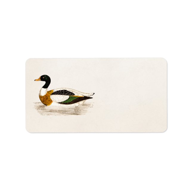 Vintage 1800s Old Drake Duck Illustration - Ducks Label (Front)