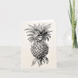 Vintage 1800s Pineapple Illustration Pineapples Card