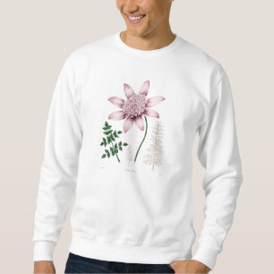 Vintage 1800s Pink Dahlia Flower Dahlias Floral Sweatshirt