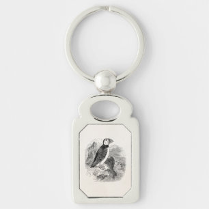 Vintage 1800s Puffin Bird - Puffins Birds Template Key Ring