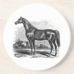 Vintage 1800s Race Horse Retro Thoroughbred Horses Coaster