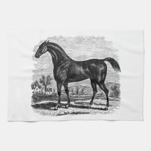 Vintage 1800s Race Horse Retro Thoroughbred Horses Tea Towel