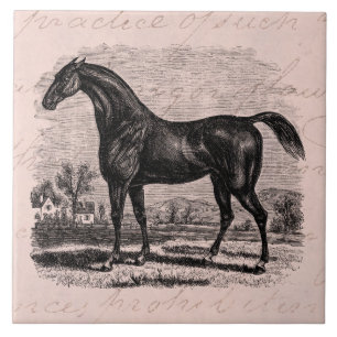 Vintage 1800s Race Horse Retro Thoroughbred Horses Tile