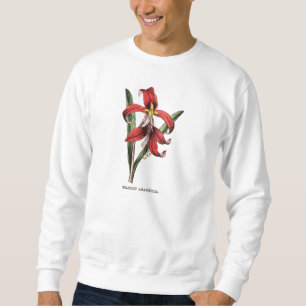 Vintage 1800s Red Christmas Amaryllis Flower Flora Sweatshirt