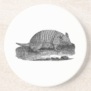 Vintage 1800s Retro Armadillo Antique Armadillos Coaster