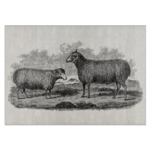 Vintage 1800s Sheep Ewe Illustration Retro Farm Cutting Board