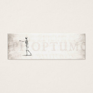 Vintage 1800s Skeleton Antique Anatomy Skeletons