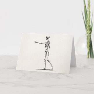 Vintage 1800s Skeleton Antique Anatomy Skeletons Card