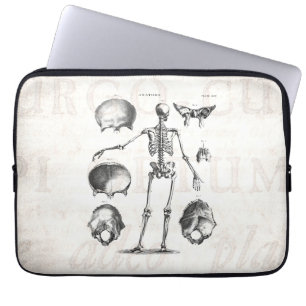 Vintage 1800s Skeleton Antique Anatomy Skeletons Laptop Sleeve