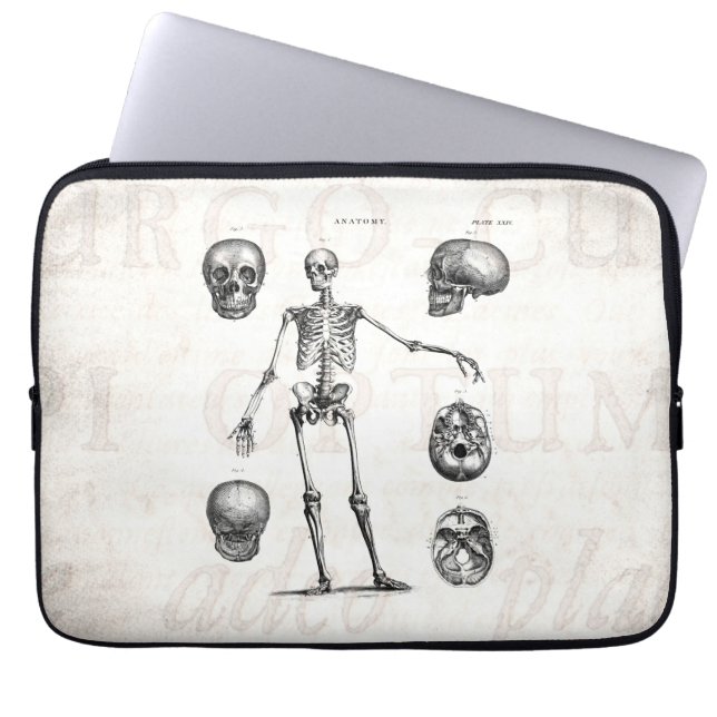 Vintage 1800s Skeleton Antique Anatomy Skeletons Laptop Sleeve (Front)